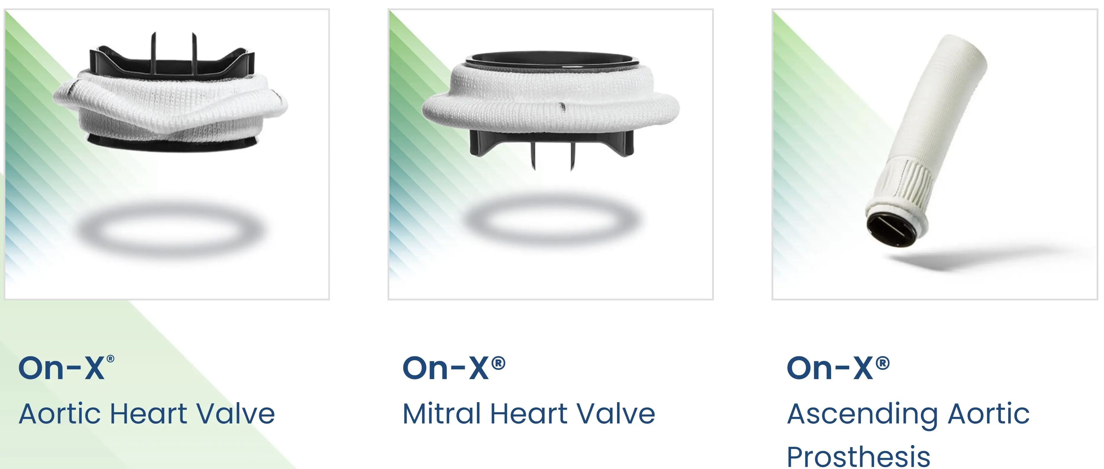 Heart Valve Solutions